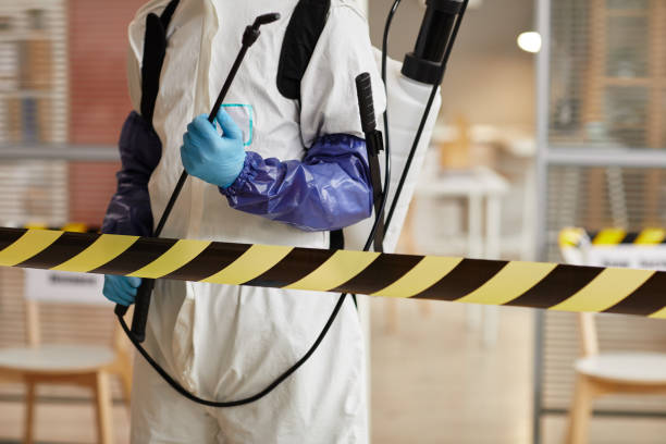 Professional Infectious Disease Decontamination technician working in Cool, CA
